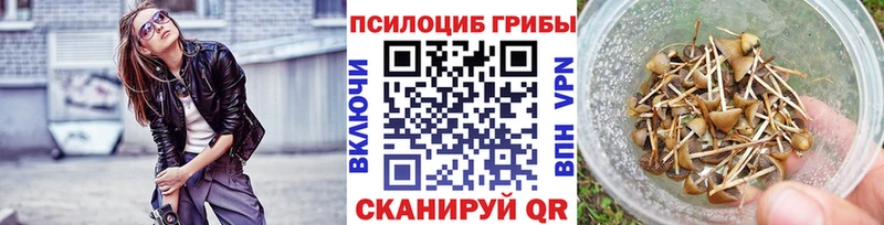 Псилоцибиновые грибы мухоморы  Купить закладки  Торопец 