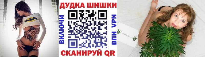 Купить где  Торопец  Бошки Шишки гибрид 